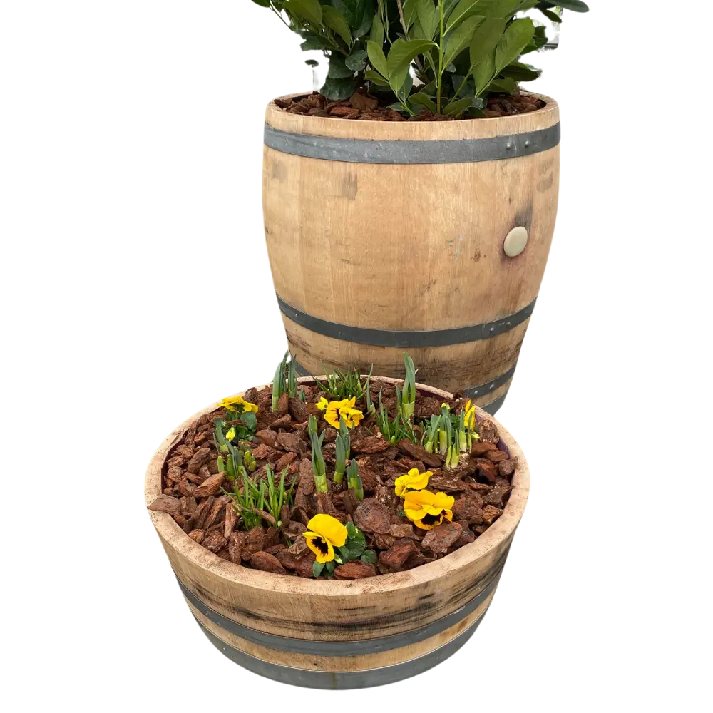 Promotion spéciale : Lot de 3 fûts rustiques 🪵 -70% OFF